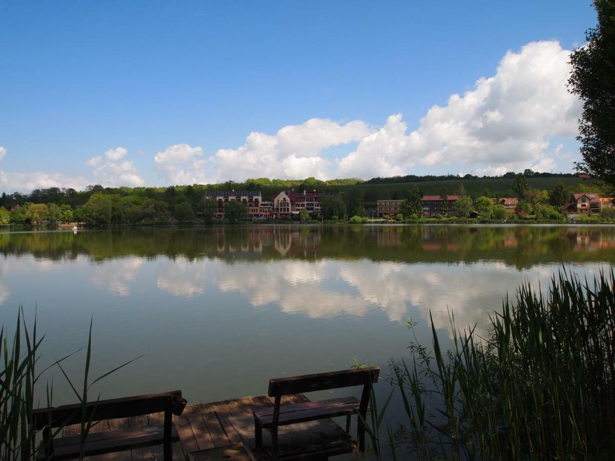 Tó Wellness Hotel Bánk Kültér fotó